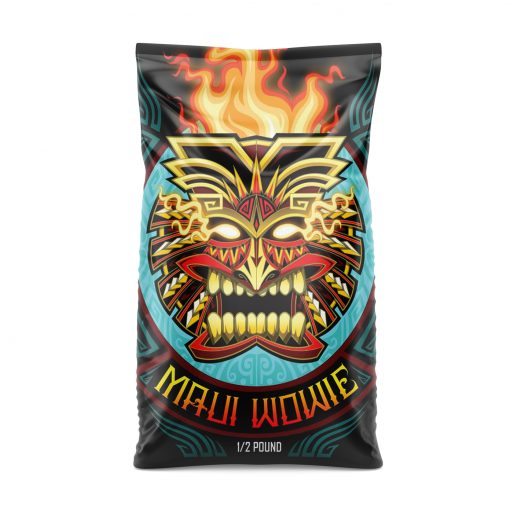 fwefwef-510x510-1-1.jpg fwefwef 510x510 1 1